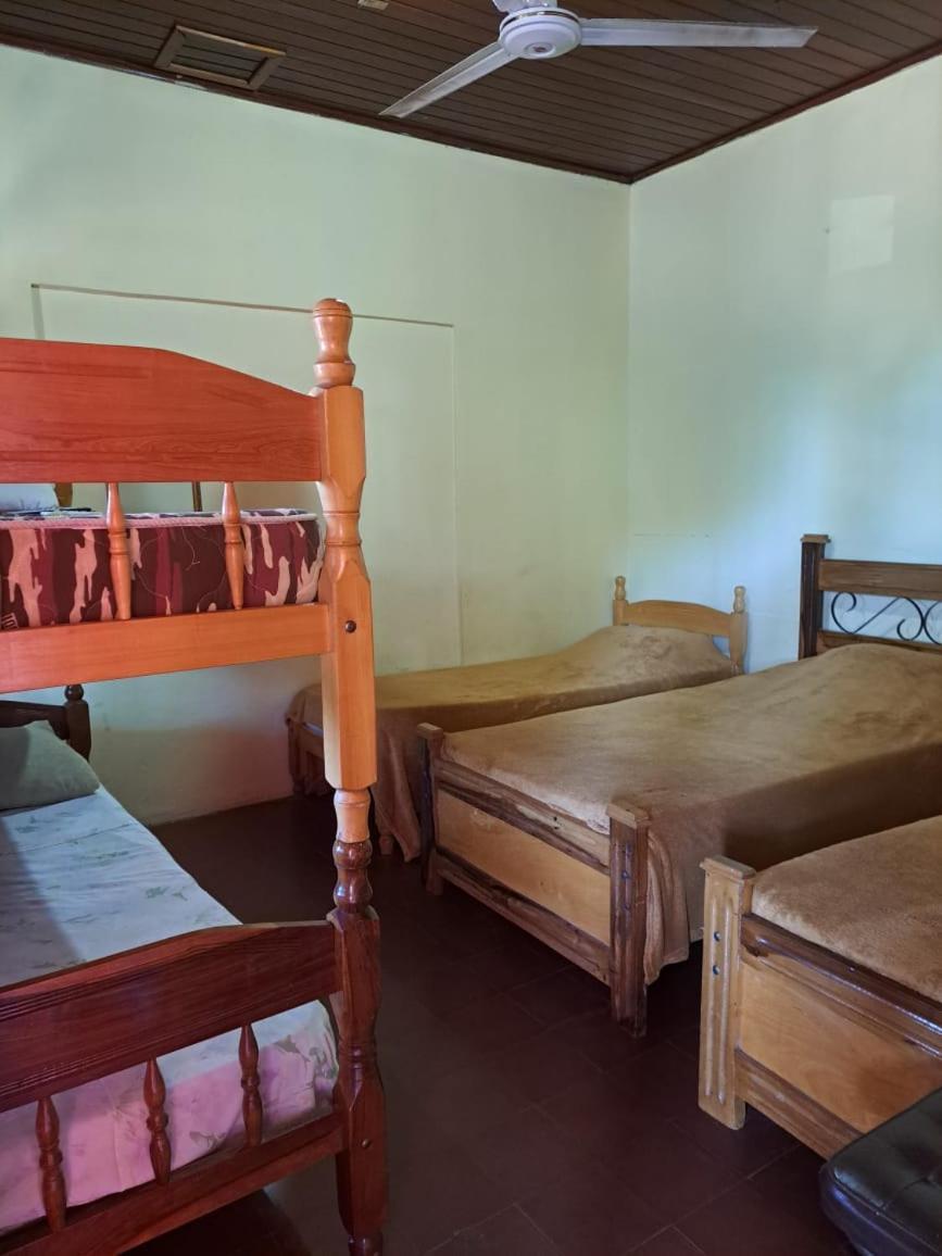 Hummingbird Hostel 시우다드델에스테 외부 사진